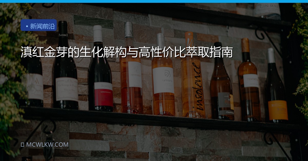 滇红金芽的生化解构与高性价比萃取指南